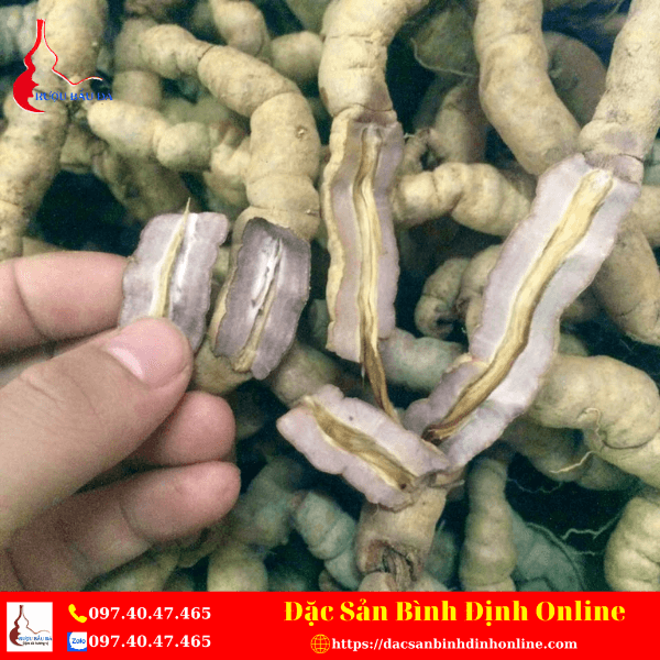 Ba Kích Tím Tây Bắc