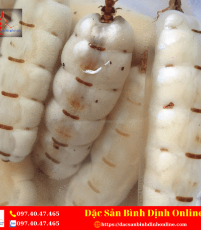Mối Chúa
