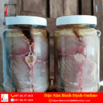 Mắm Cá Thu Cắt Lát Ngâm Dầu Hũ 500G - Đặc Sản Bình Định - Ảnh 5
