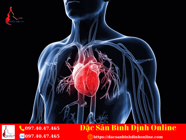 Sử Dụng Rượu Tỏi Tốt Cho Tim Mạch