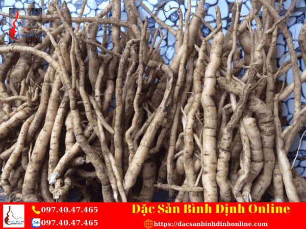 Ngâm Rượu Bằng Sâm Xuyên Đá Tươi