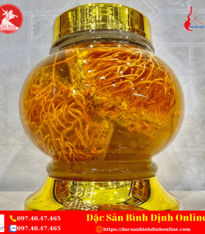 Bình Rượu Ngâm Đông Trùng Hạ Thảo 2,7L