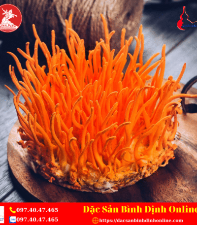 Đông Trùng Hạ Thảo Tươi