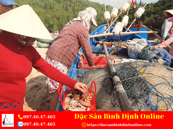 Hải Sản Ở Lộ Diêu Đặc Biệt Tươi Ngon