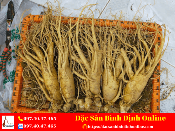 1Kg Nhân Sâm Hàn Quốc Tươi Ngâm Với Bao Nhiêu Lít Rượu Chuẩn Nhất?