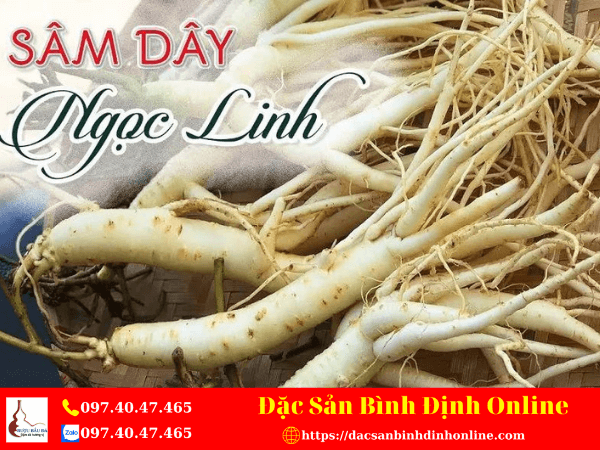 Cách Sử Dụng Sâm Dây Ngọc Linh